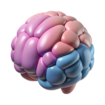Isometric Brain Illustration with Pink and Blue Colors png