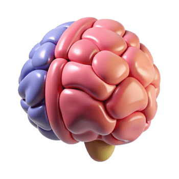 3D Rendered Colorful Brain Illustration png
