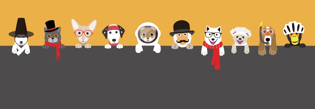 Portrait of animals, wearing something, cool style, cosplay vector