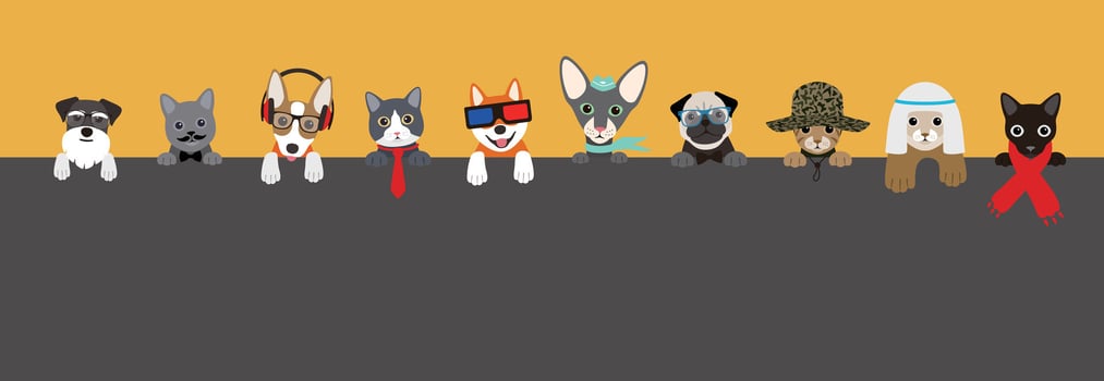 Portrait of animals, wearing something, cool style, cosplay vector