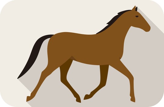 animal horse series flat icon, running, vector