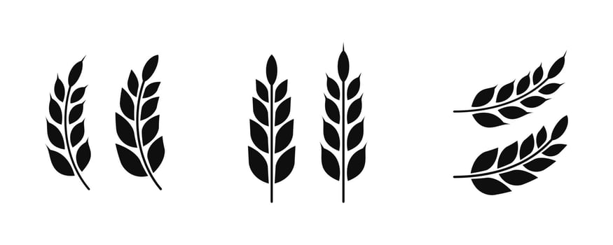 Wheat silhouette collection. Ear of wheat symbols. Wheat icon illustration. vector