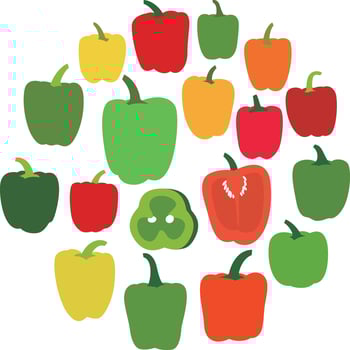 Many pepper icons combine into a circle pattern vector