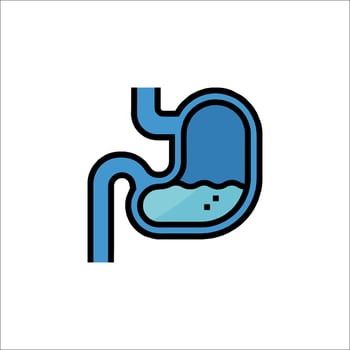 An illustration of the stomach and the stomach vector