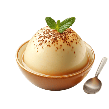 Custard Pudding on transparent background png