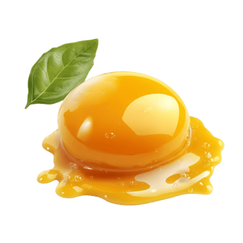 Eggs on Leaf on Transparent Background png