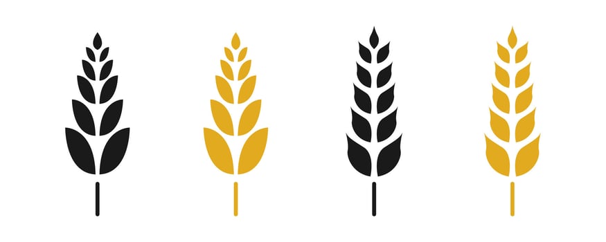 Wheat icon set. Wheat silhouette. Wheat symbol. illustration vector