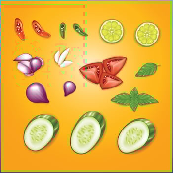 A realistic set of spices vector
