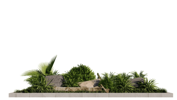 vegetation nature plant green natural environment foliage background 3d render. landscape tree jungle summer forest leaf tropical garden grass. flora isolated park png