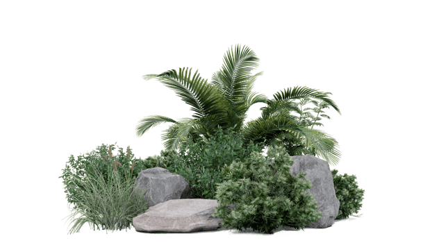 vegetation plant green natural environment foliage background 3d render. png