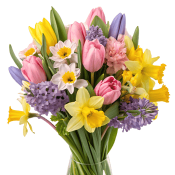 Bright spring flowers, including tulips, daffodils, and hyacinths in a vase. Concept of spring beauty png