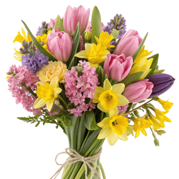 A vibrant bouquet of tulips, daffodils, and hyacinths tied with twine, beauty and freshness png