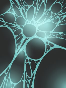 Dew drops on a spider's web vector