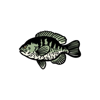 illustration graphic fish for design, template, elemen, illustration, etc vector