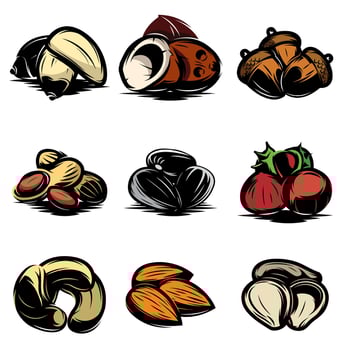 Nuts and Seeds Illustration Variety Pack for Designers vector