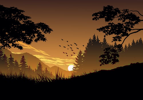 Beautiful foggy woodland early morning landscape vector