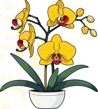 Bright yellow orchid in a decorative pot vector