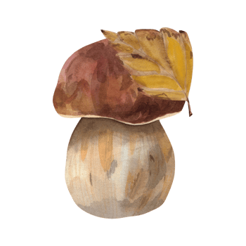 Watercolor illustration of a porcini mushroom. Hand-drawn botanical composition of an edible mushroom in autumn leaves. Drawing for photo wallpaper, stickers, scrapbooking png
