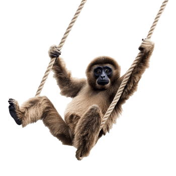 Monkey enjoys swinging on a rope in playful motion png