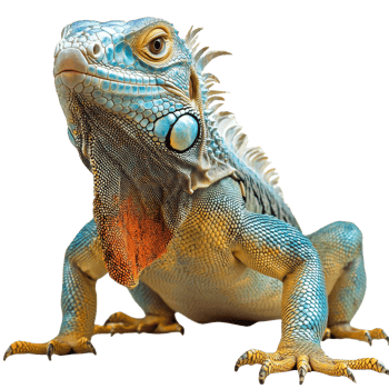 Vibrant lizard displays vivid patterns png