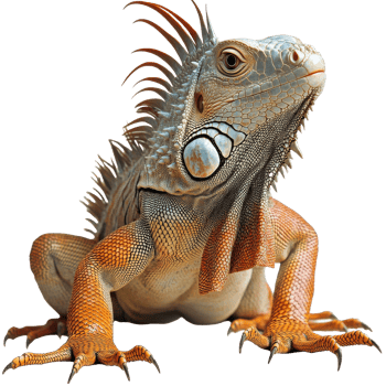 Colorful iguana in its habitat png
