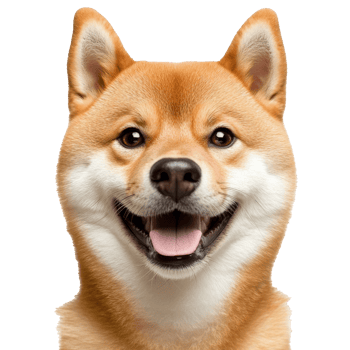 Happy shiba inu dog with a joyful expression png