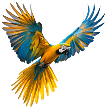 Colorful macaw flying in a tropical setting png