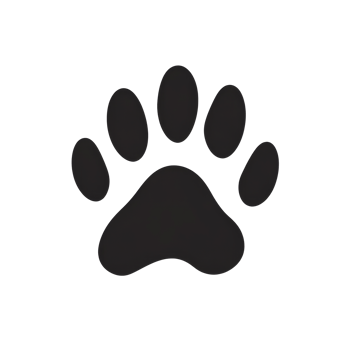 Black paw print illustration on a white background png