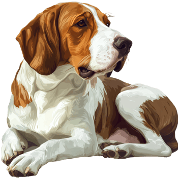 Cute dog relaxing in a cozy indoor setting png