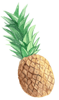 watercolor pineapple fruit isolated png