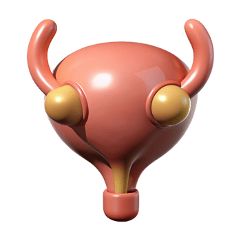 Isometric Rendered Anatomy Illustration png