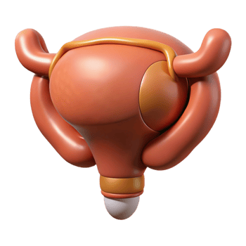 3D Render of an Abstract Organ png
