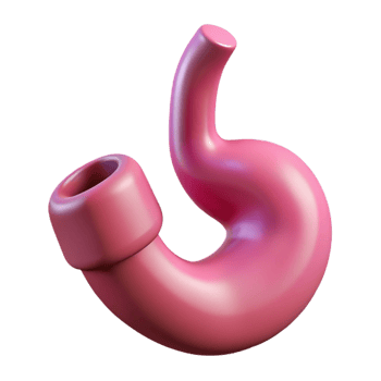 3D Pink Stomach Model Illustration png