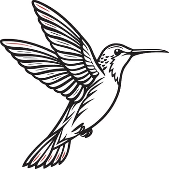 Hummingbird in Motion Silhouette vector