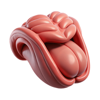 Abstract 3D Tongue Design png