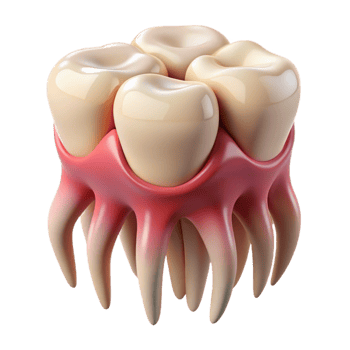 3D tooth design with healthy gums png