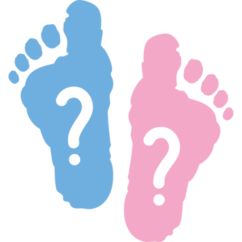 gender reveal boy or girl png