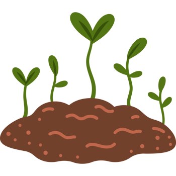 planting equipment sprouts png