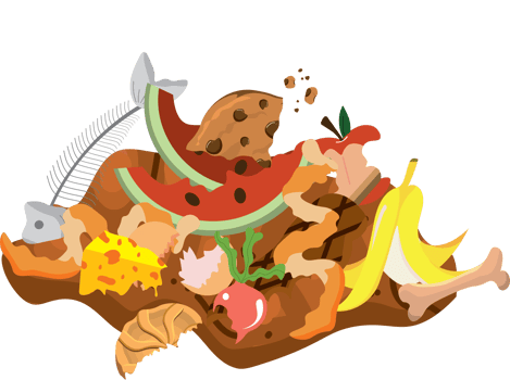 Environmental Care with Organic Waste in Bin png