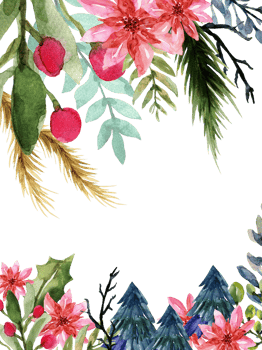 Watercolor christmas frame with poinsettia, holly and pine trees png