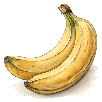hand drawn Banana png