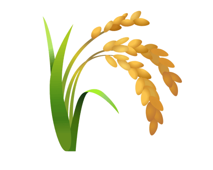 Rice plant wheat icon png