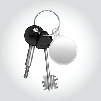 Bunch of Keys Illustration Versatile Design for Various Applications vector