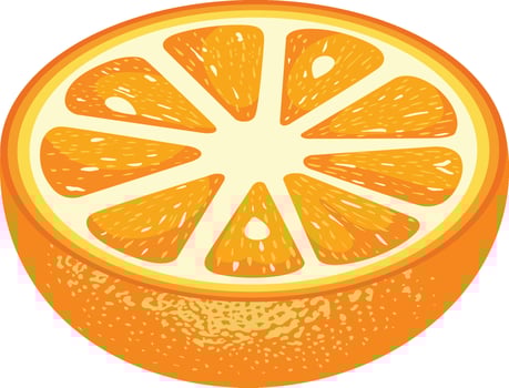 Fresh half of orange isolated vector