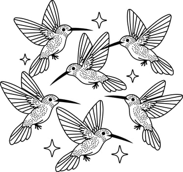 Hummingbird Group illustration in vintage style vector