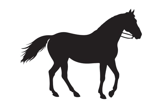 Running Horse Silhouette on White Background vector