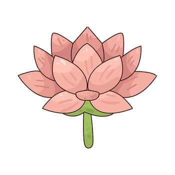 Illustration of lotus vector