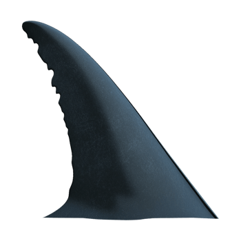 Fin of Shark Isolated on Transparent Background png