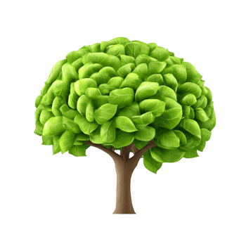 tree with leaves on transparent background png