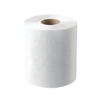 Roll of White Toilet Paper png